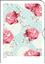 Image de SCHÖNE GARTENFREUDEN Englische Rose, VE-10