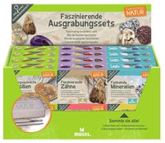 Image de Expedition Natur Mini-Ausgrabungssets, VE-24