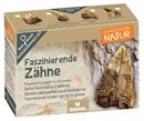 Immagine di Expedition Natur Mini-Ausgrabungssets, VE-24