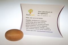 Image de Handschmeichler Apfelbaum mit Baumhoroskop von baumstark