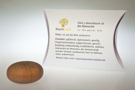 Picture of Handschmeichler Eberesche mit Baumhoroskop von baumstark