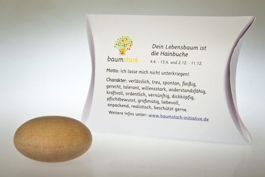 Image sur Handschmeichler Hainbuche mit Baumhoroskop von baumstark