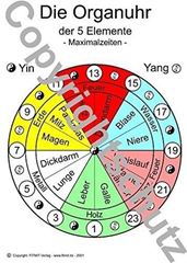 Bild von Die Organuhr der 5 Elemente Lehrkarte A6