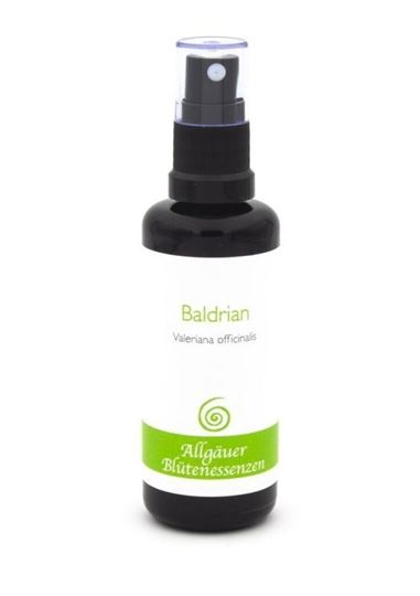 Bild von Allgäuer Blütenessenz Baldrian 50 ml