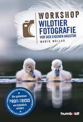 Bild von Workshop Wildtierfotografie vor der eigenen Haustür