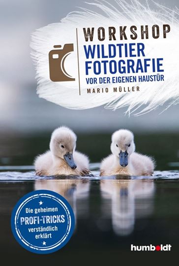 Image sur Workshop Wildtierfotografie vor der eigenen Haustür