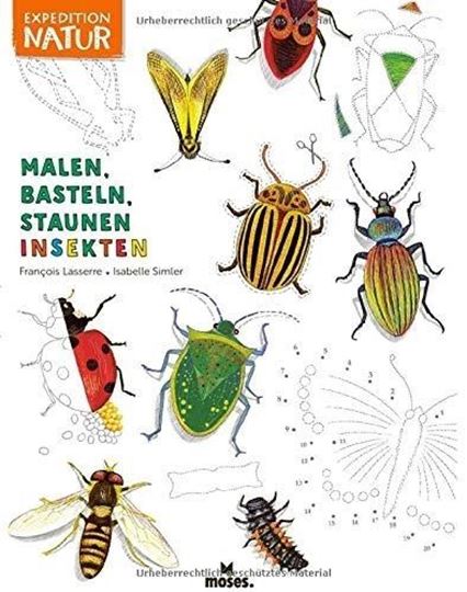 Bild von Malen, Basteln, Staunen - Insekten