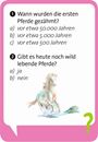 Bild von Pocket Quiz junior Pferde, VE-1