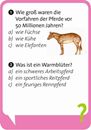 Bild von Pocket Quiz junior Pferde, VE-1