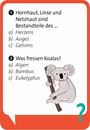 Bild von Pocket Quiz junior Schlaumeier, VE-1