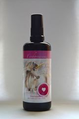 Picture of Einhornessenz Jesus-Sananda & das Einhorn Götterfunke, 100 ml