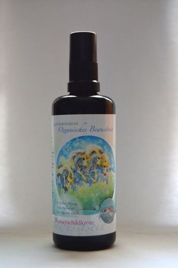 Picture of Einhornessenz Ozeanisches Bewusstsein - Wasserschildkröte, 100 ml