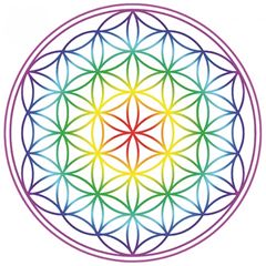 Bild von Aufkleber Set 4 x 4.5 cm Blume des Lebens Regenbogen-Chakra transparent