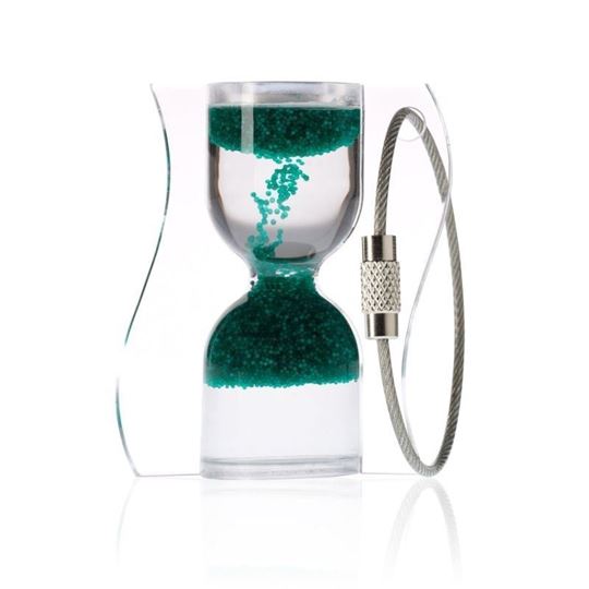 Bild von PARADOX TO GO Keyring Tango green