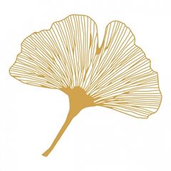 Image de Aufkleber-Set 4 x 3 cm / 1 x 7.5 cm gold-transparent Ginkgo