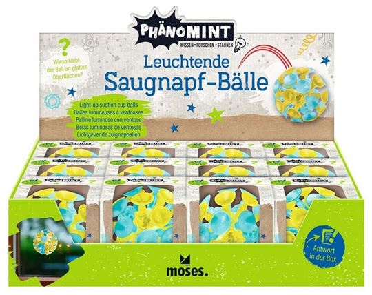 Bild von PhänoMINT Leuchtender Saugnapf-Ball, VE-12