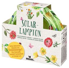 Bild von Blatt & Blüte Solar-Lampion, VE-6