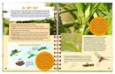 Image sur Expedition Natur: Das grosse Sommerbuch, VE-1