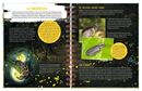 Image sur Expedition Natur: Das grosse Sommerbuch, VE-1