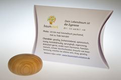 Picture of Handschmeichler Zypresse mit Baumhoroskop von baumstark
