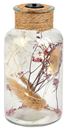 Bild von Blatt & Blüte Lichtflasche Trockenblumen, VE-4