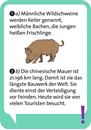 Image sur Pocket Quiz junior Allgemeinwissen, VE-1