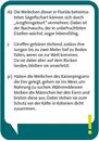 Bild von Pocket Quiz Verrückte Natur, VE-1