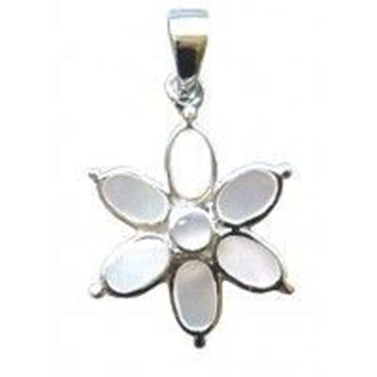 Image sur Anhänger Perlmutt Blume 2cm Silber 925