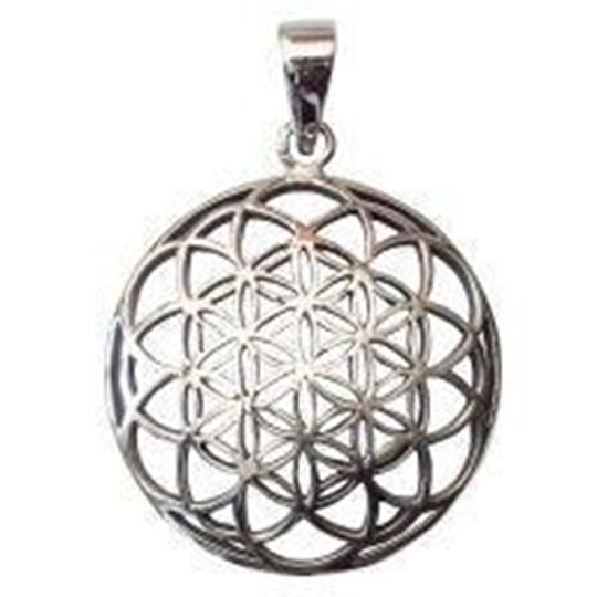 Bild von Anhänger Saat des Lebens Bronze versilbert 3,6g 2,5cm