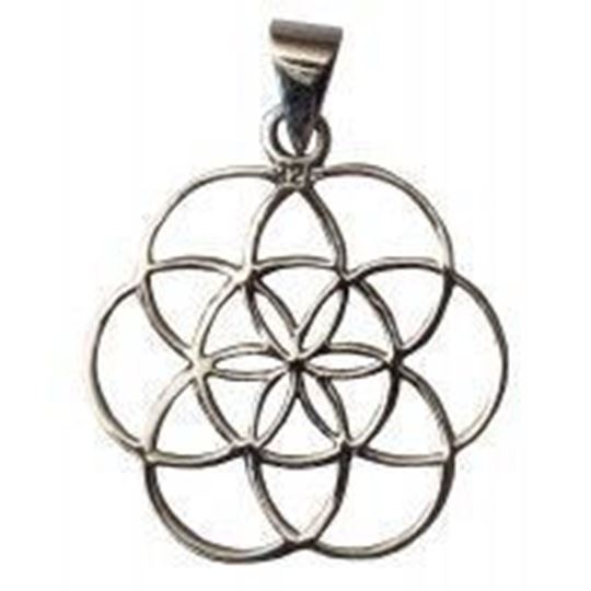 Immagine di Anhänger Saat des Lebens Silber 925 1,5g 2cm