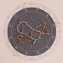 Image sur Miss Wood  Constellation Map - L Neptune - No Frame