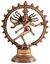 Picture of Shiva Nataraj