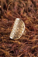 Image de Blume des Lebens Ring, offen