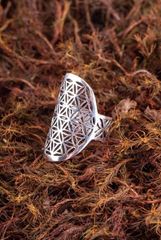 Image de Blume des Lebens Ring offen