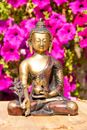 Image sur Medizin Buddha