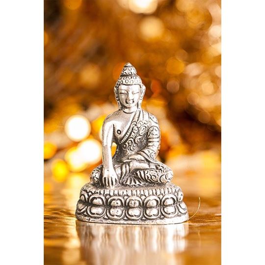 Image sur Buddha Shakyamuni, versilbert