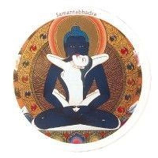 Bild von Magnet Samanthabhadra rund 7,5cm