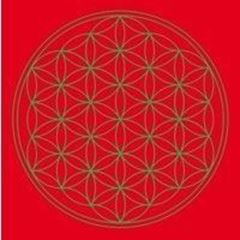 Image de Leinwanddruck Blume des Lebens Basis-Chakra rot 20x20cm