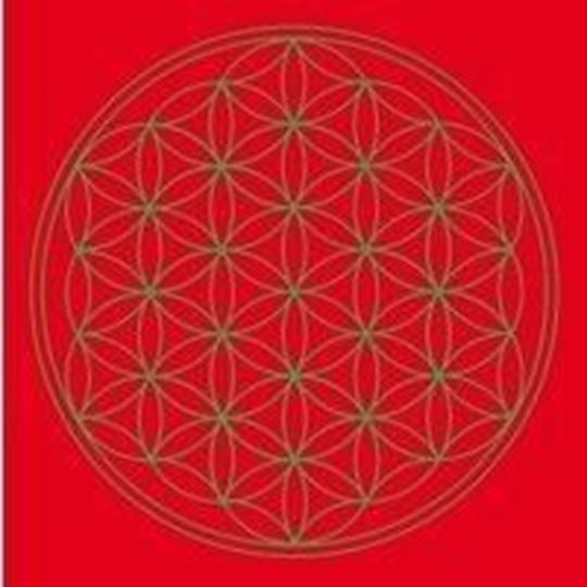 Bild von Leinwanddruck Blume des Lebens Basis-Chakra rot 20x20cm