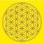 Immagine di Leinwanddruck Blume des Lebens Solarplexus Chakra gelb 20x20cm