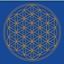 Bild von Leinwanddruck Blume des Lebens Stirn-Chakra blau 20x20cm