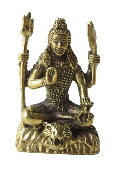 Image sur Shiva auf Tiger Messing 5cm