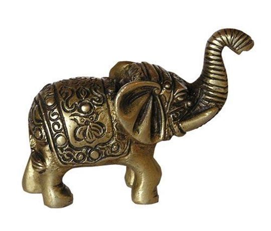 Image sur Baby Elefant mit Gravur