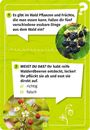 Image sur Mein Wald-Forscherquiz