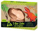 Picture of T-Rex Zahn zum Ausgraben, VE-6