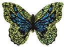Immagine di Mini-Schmetterlings-Drachen, VE-24