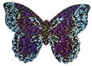Image sur Mini-Schmetterlings-Drachen, VE-24