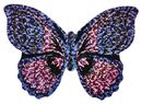 Bild von Mini-Schmetterlings-Drachen, VE-24