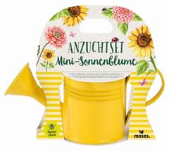 Bild von Blatt & Blüte Mini-Sonnenblume in Giesskanne VE 6