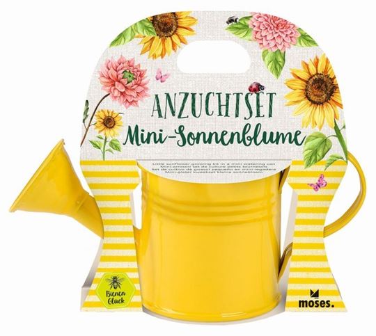 Image sur Blatt & Blüte Mini-Sonnenblume in Giesskanne VE 6